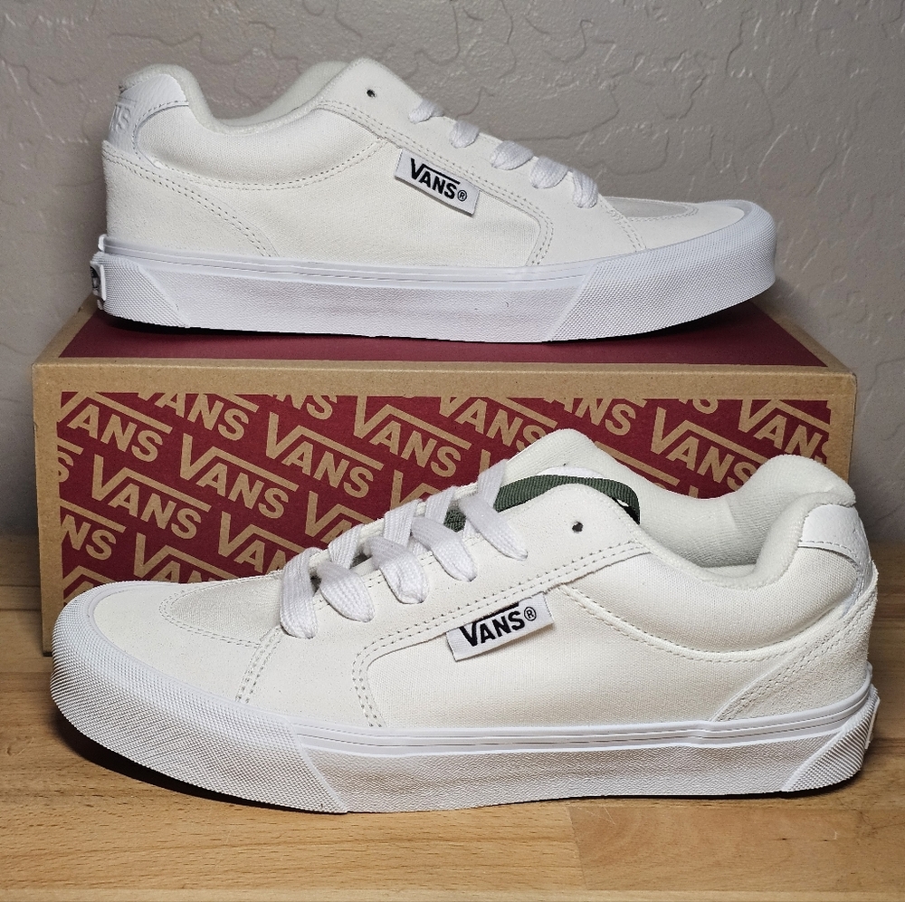 Vans Men's Chukka Push Shoe